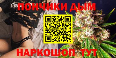 крисы Бузулук